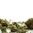 Incompetence, History of Corruption Sandbag New Illinois Medical Marijuana Law Incompetence, History of Corruption Sandbag New Illinois Medical Marijuana Law