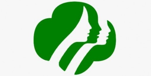 The Girl Scout Sex Guide