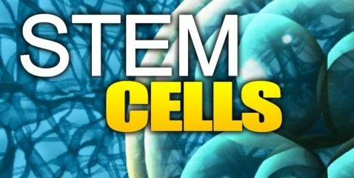 Human Adult Stem Cell Research is Proven Effective