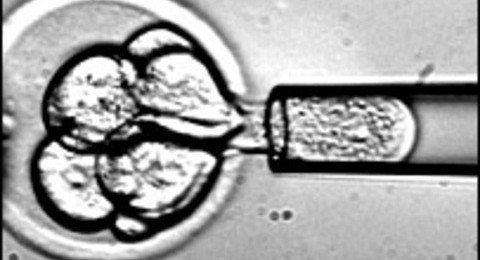 California’s Stem Cell Failure