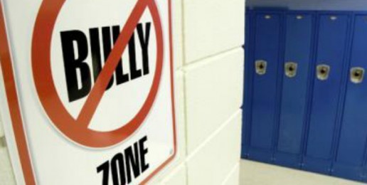 Worried About Bullying?  Be More Worried About Govt. “Fixed” Schools