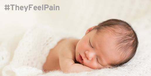 Pain-Capable Unborn Child Protection Act