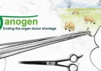 Aborted-Baby Organ Program Called ‘Frankenscience’ Aborted-Baby Organ Program Called ‘Frankenscience’