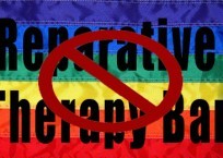 Illinois House Approves Freedom Quashing Reparative Therapy Ban