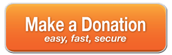 Donate now button_orange