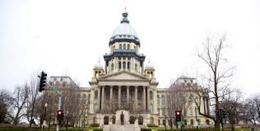 New Year Brings Focus Pro-Life Legislation in Illinois