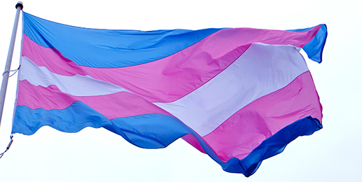 7 Troubling Questions About Transgender Theories