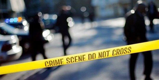 Guns or Family Dysfunction Cause of Mass Killings? Guns or Family Dysfunction Cause of Mass Killings?