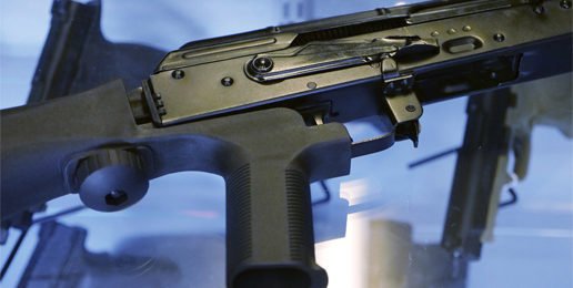 Banning and Confiscating Guns in Deerfield, Illinois Banning and Confiscating Guns in Deerfield, Illinois