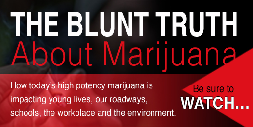 The Blunt Truth About Marijuana