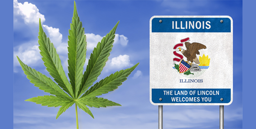Marijuana will bring harm to Illinois