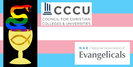 Dr. Robert Gagnon’s Response to Evangelical Leaders’ Compromise with LGBT Activists