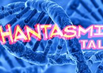 Which “Trans” Reality Matters? Biological or Phantasmical Which “Trans” Reality Matters? Biological or Phantasmical