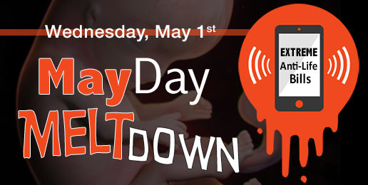 May Day Meltdown!