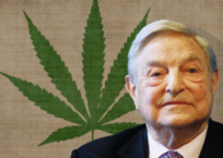A Narco-Nation of Potheads, Courtesy of George Soros