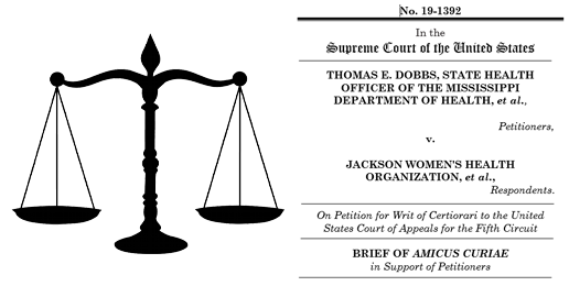 Illinois Pro-Life Lawmakers Given National Voice to Overturn Roe v. Wade