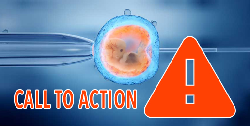 Call to Action: Stop Grisly Experiments on Human Embryos