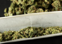 Marijuana Decriminalization Happening in Congress Marijuana Decriminalization Happening in Congress