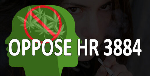 URGENT: Vote to End Federal Marijuana Prohibition