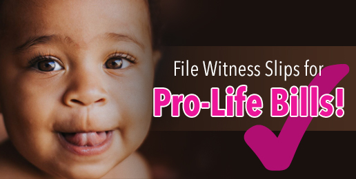 You Can File Witness Slips for Pro-Life Bills!
