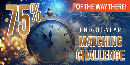 Two Days Left to Meet Our Challenge Match!