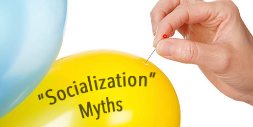 Debunking “Socialization” Myths About Homeschooling