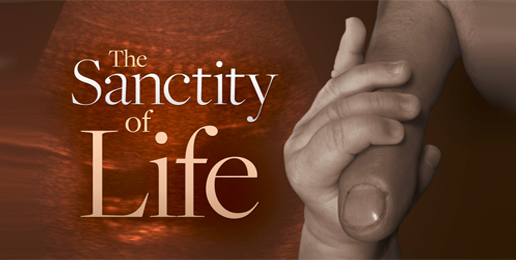 Be Intentional: Five Pro-Life Endeavors Christians Can and Should Employ