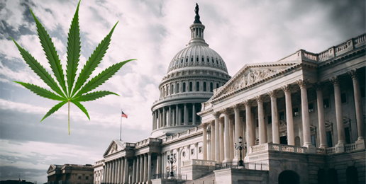 U.S. Senate Pushing Lame-Duck Cannabis Legislation