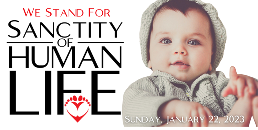 Sanctity of Human Life Sunday: Being A Deliberate Pro-Life Advocate