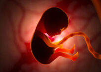 Fetus vs. Baby