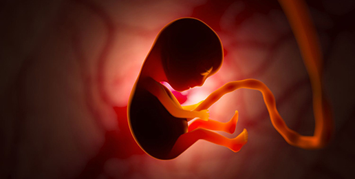 Fetus vs. Baby