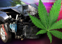 Legal Cannabis Markets Linked to Increased Motor Vehicle Deaths