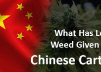 What Has Legal Weed Brought Us? And The Answer Is Chinese Cartels!