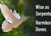Wise as Serpents. Harmless as Doves.