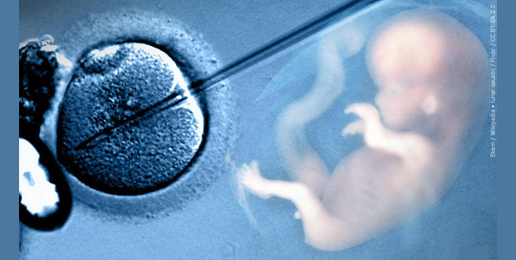 The Secret That The IVF Industry Doesn’t Want You To Know