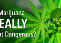 Is Marijuana Really That Dangerous?