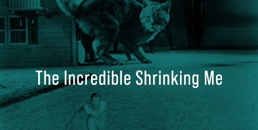 The Incredible Shrinking Me