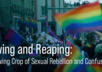 Sowing and Reaping: A Growing Crop of Sexual Rebellion and Confusion