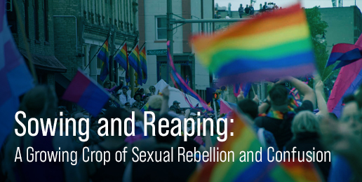 Sowing and Reaping: A Growing Crop of Sexual Rebellion and Confusion