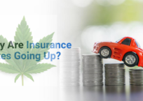 Why Have Auto Insurance Rates Increased?