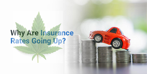 Why Have Auto Insurance Rates Increased?