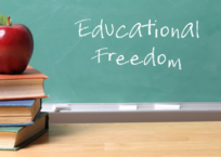 Expanding School Choice Through Government?