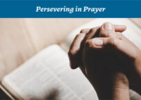 Prayer Bulletin for February 2025