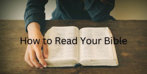 How to Read Your Bible