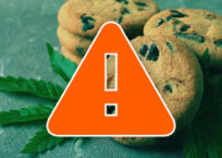 Kids and Marijuana – A Bad Combination Kids and Marijuana – A Bad Combination
