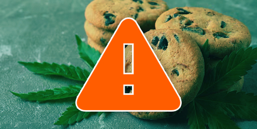 Kids and Marijuana – A Bad Combination Kids and Marijuana – A Bad Combination