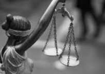 Law Is Not Downstream From Culture