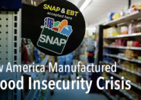 The Hunger Industrial Complex: How America Manufactured a Food Insecurity Crisis