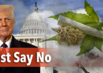 Reclassifying Marijuana Ignores Science and Endangers Families