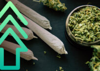 Marijuana Use Rising — But Treatment Falling